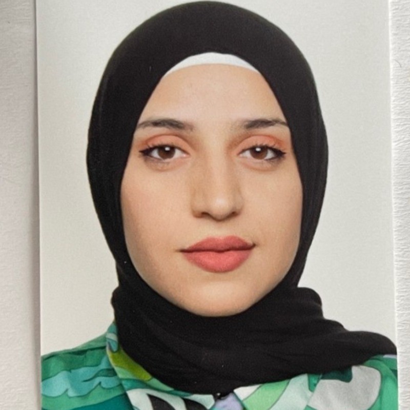 Manel B. - Doctor of Philosophy (Ph.D) Electrical and Electronics Engineering - Subject Matter Expert from Kolabtree