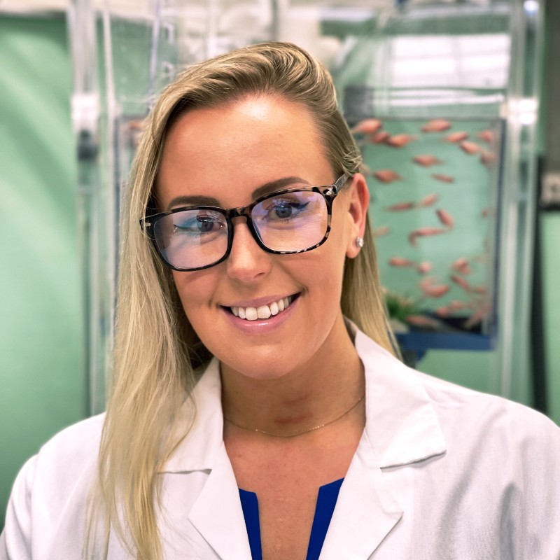 lindsey st mary management freelance expert