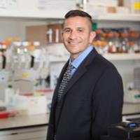 ismael samudio freelance immunoassay expert for hire