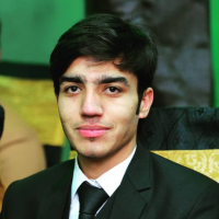 Naveed K. - Master of Sciences in Electrical Engineering - Subject Matter Expert from Kolabtree
