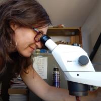 Ana Natalia Z. - DrPH Natural Sciences - Subject Matter Expert from Kolabtree