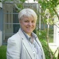 Alex W. - PhD Psychiatry - Subject Matter Expert from Kolabtree