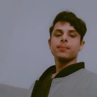 Fazeel A. - Information Technology - Subject Matter Expert from Kolabtree