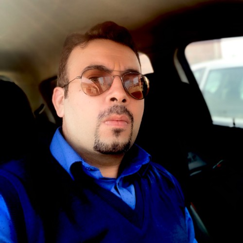 dr anshoo malhotra biogeochemistry freelance expert