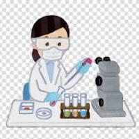 juveria usmani pharmacy education freelance expert