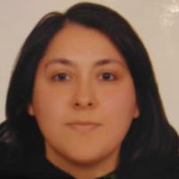 Ozlem K. - PhD - Engineering - Subject Matter Expert from Kolabtree