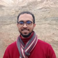 Hamza S. - PhD - Subject Matter Expert from Kolabtree