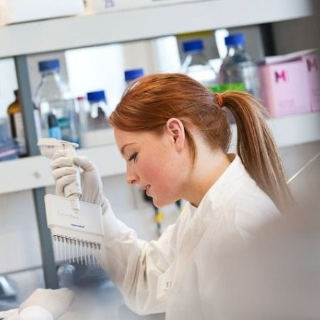 sarah westwood freelance spss expert for hire