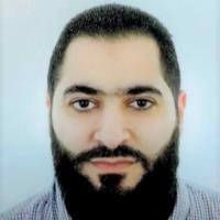 Ramzi H. - Doctorate - Subject Matter Expert from Kolabtree