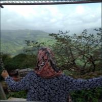 Fouzia S. - PhD - Subject Matter Expert from Kolabtree