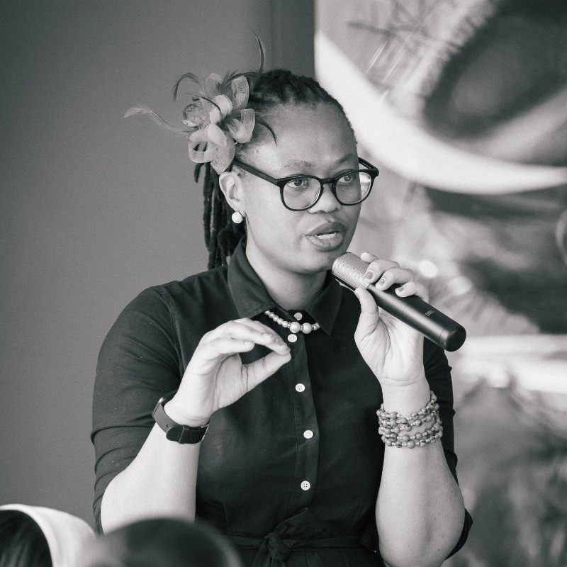 dr xolelwa zulu cand msc technology and innovation management organometallic chemistry freelance expert