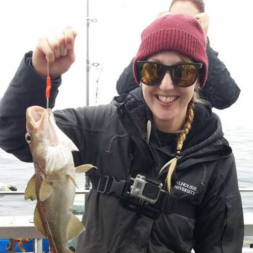 jena edwards marine biology freelance expert