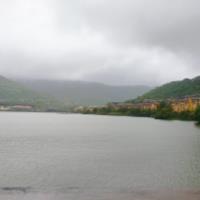 Dr Harsha  L. - PhD, Biochemistry - Subject Matter Expert from Kolabtree