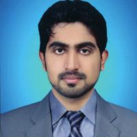 kashan memon peer review freelance expert