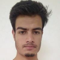 faizan syed chemicals freelance expert