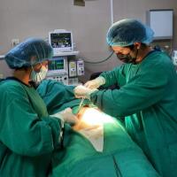 Ariel Q. - Médico - Subject Matter Expert from Kolabtree