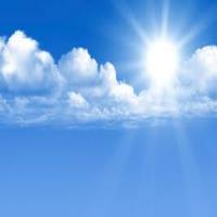 Nina S. -  - Subject Matter Expert from Kolabtree