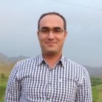 Mahdi M. - PhD - Erasmus School of Health Policy and Management - Subject Matter Expert from Kolabtree