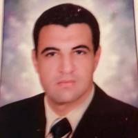 Mohamed H. - Bachelor of Science (B.Sc) Chemistry - Subject Matter Expert from Kolabtree