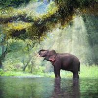 MAYA G P. - PhD Zoology - Subject Matter Expert from Kolabtree