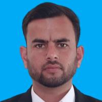 Muhammad R. - PhD - Subject Matter Expert from Kolabtree