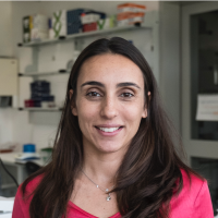 Sandra A. - General Management Program - Subject Matter Expert from Kolabtree