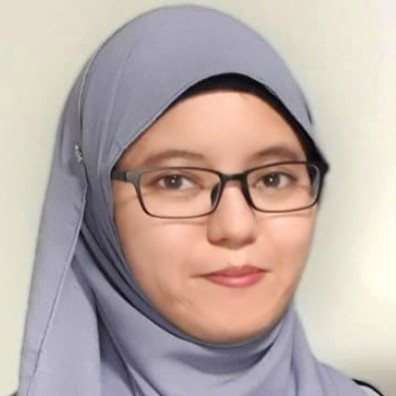 nisa de souza stata freelancer for hire