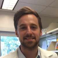 kevin koronowski technical writing freelancer for hire