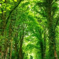 Ajay K. - MCA - Subject Matter Expert from Kolabtree