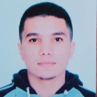 Taha Yassine C. - Masters of Science - Subject Matter Expert from Kolabtree