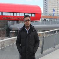 dipanjan guha medical imaging consultant for hire