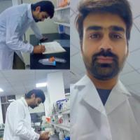 Nauman R. - Doctor of Philosophy - College of Food Science and Engineering - Subject Matter Expert from Kolabtree