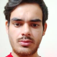 Arvind S. - MS (Mathematics and Scientific Computing) - Subject Matter Expert from Kolabtree