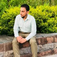 Musadiq I. - Bachelor's in Biotechnology - Subject Matter Expert from Kolabtree