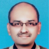 shariq anis stata freelance expert