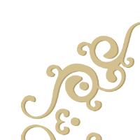 Steffi T. - Ph.D - Subject Matter Expert from Kolabtree