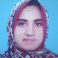 sadia satti academic writing consultant for hire