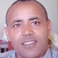 Bahiru A. - Doctorate of Philosophy (PhD) in Urban and Regional Planning - Geography and Environmental Studies - Subject Matter Expert from Kolabtree