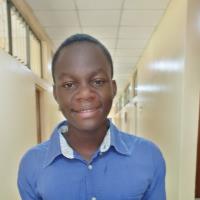 emmanuel petit kwoba sociology freelance expert