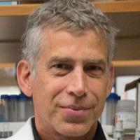 hire freelance proteomics expert thomas graeber