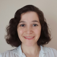 dilek isik akcakaya phd freelance materials engineering expert for hire