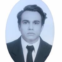 Mario-Adrián T. - PhD nanotechnology - Subject Matter Expert from Kolabtree