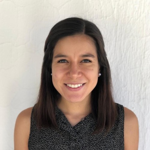 jimena bastida scientific illustration consultant for hire