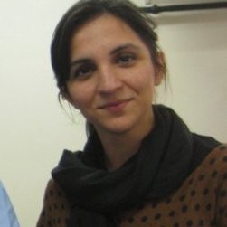 Saira B. - Big Data Analytics - Subject Matter Expert from Kolabtree