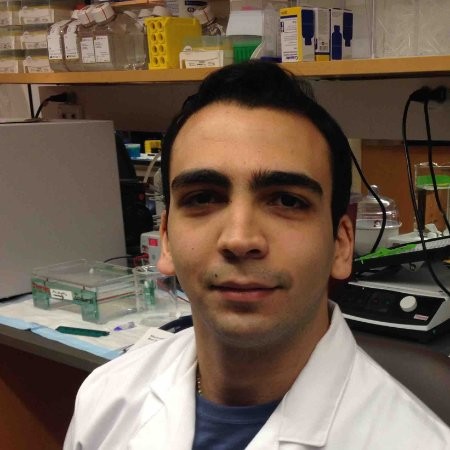 nicholas abuid nanobiotechnology freelance expert