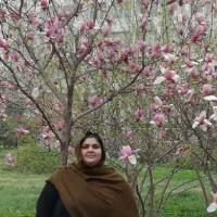 Hamama Islam B. - PhD Biochemistry  and Molecular Biology - Subject Matter Expert from Kolabtree