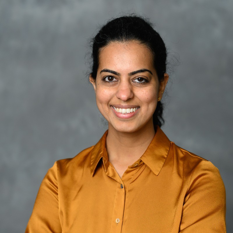 hire freelance nanomaterials expert swathi kadaba