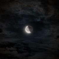 ARMAN T. - PhD - Subject Matter Expert from Kolabtree