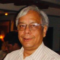 himadri banerji data analytics freelance expert