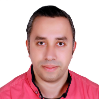 hire freelance article writing expert el sayed mohamed